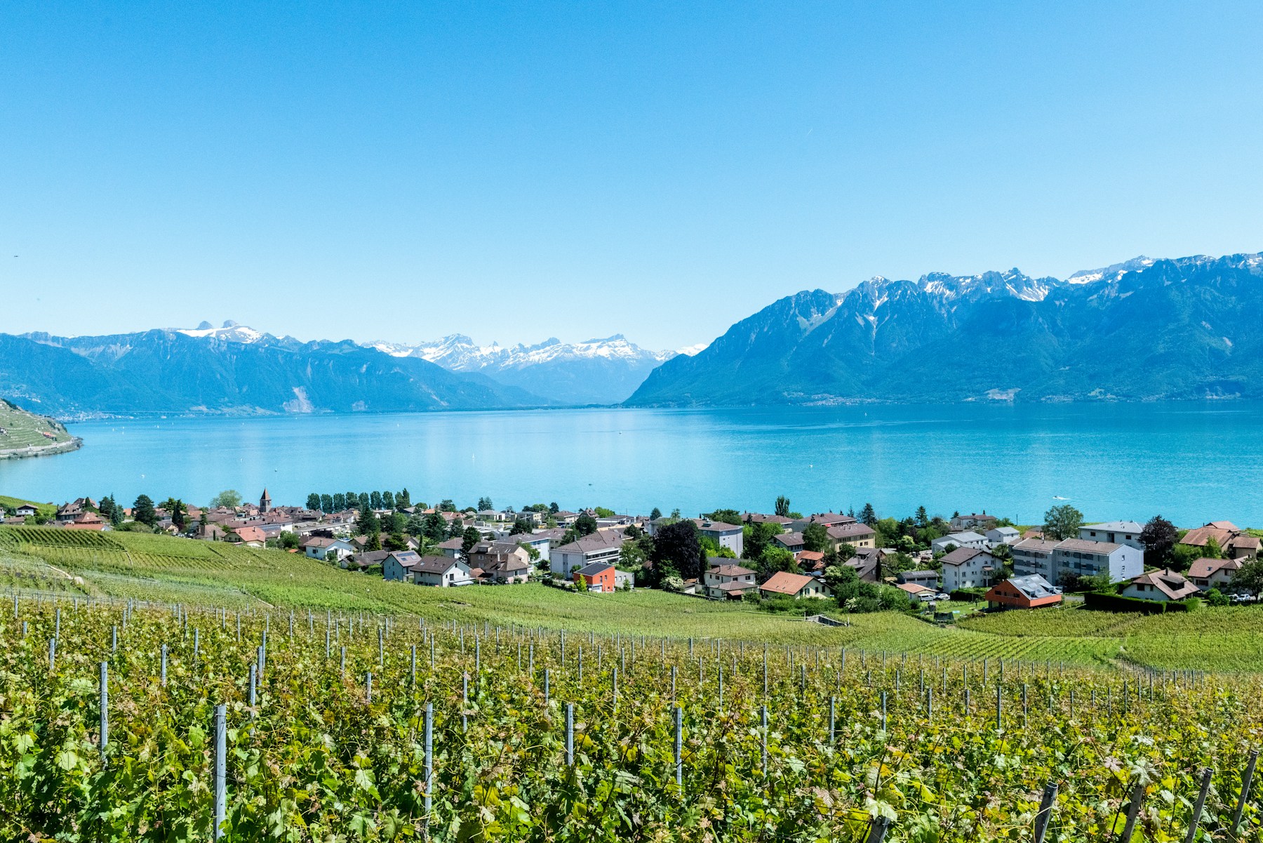 Port d'Anthy-sur-Léman et rive sud du Léman au lever du jour