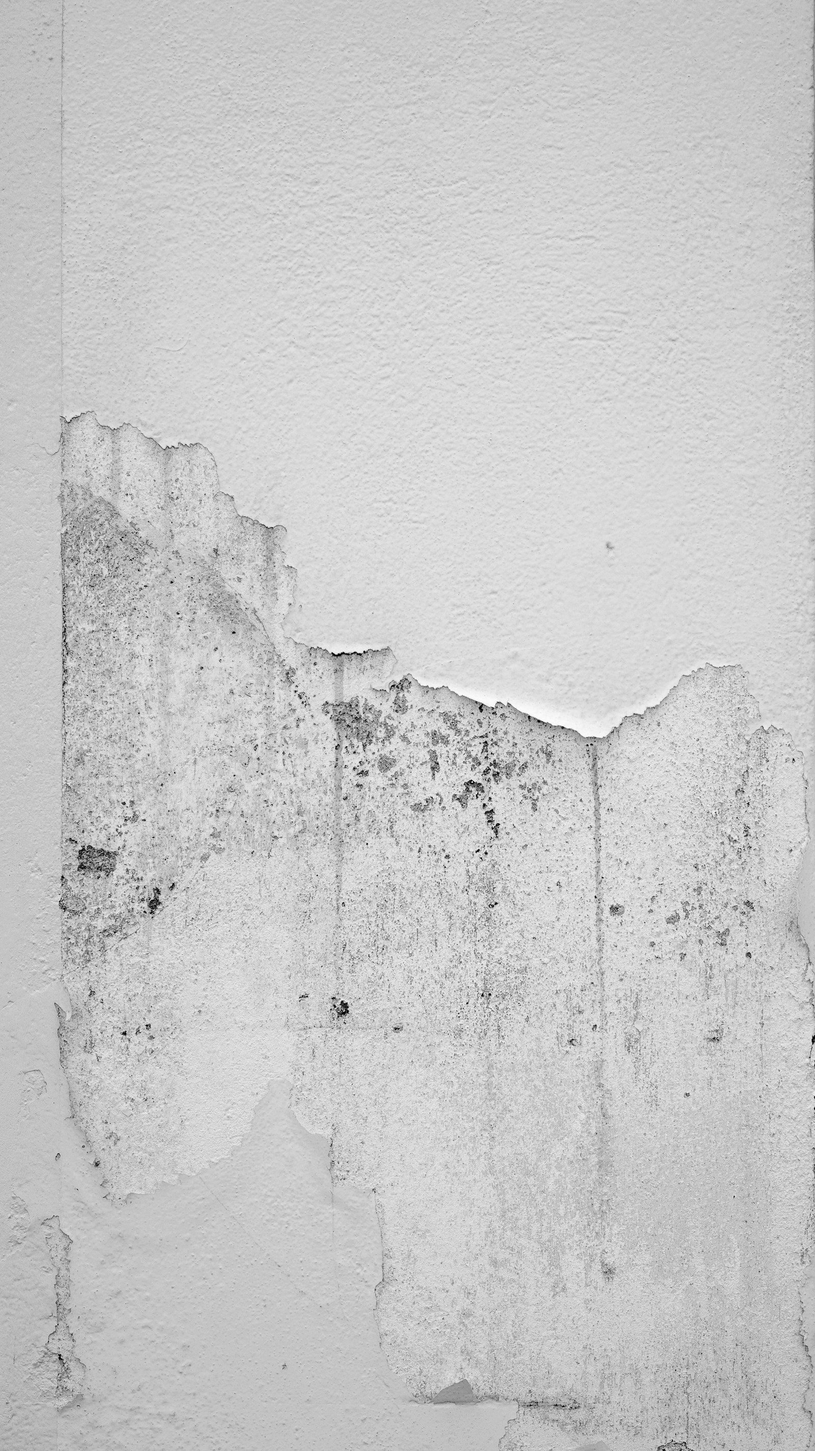 Traitement anti humidité et moisissures